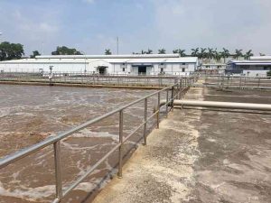 Xử lý nước thải bằng vi sinh vật – giải pháp hiệu quả với môi trường xu ly nuoc thai bang vi sinh vat