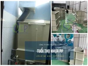 Nhựa PP hạn sử dụng bao lâu?
