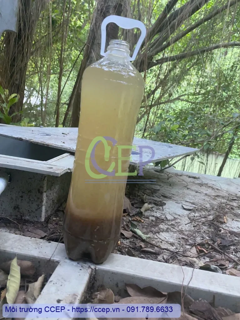Kỹ thuật nuôi cấy vi sinh xử lý nước thải chuẩn kỹ sư CCEP (Từ A-Z) Kiểm tra mẫu bùn nước thải từ bể aeroten, phục vụ nuôi cấy vi sinh trong xử lý nước thải.
