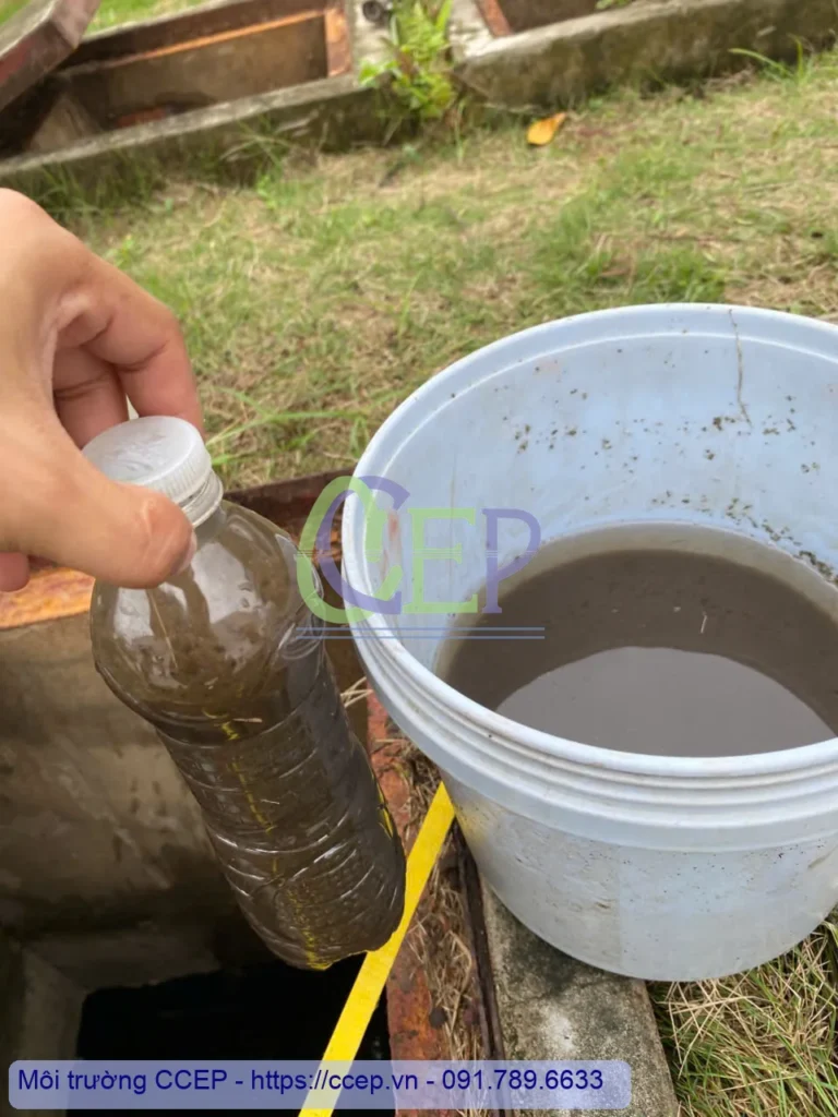 Kỹ thuật nuôi cấy vi sinh xử lý nước thải chuẩn kỹ sư CCEP (Từ A-Z) Đây là mẫu nước bùn lắng, minh họa hiệu quả **nuôi cấy vi sinh bể aeroten trong xử lý nước thải**